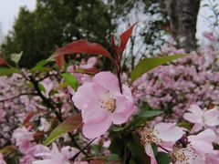 -上海怡沁园度假酒店