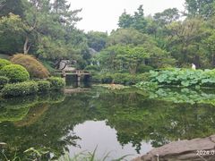 -秋霞圃