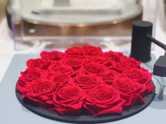 -ROSEONLY诺誓(磐基中心店)