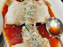 清蒸鲽鱼-新疆巴州金丝特餐厅(大钟寺店)