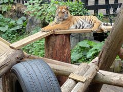 -广州长隆野生动物世界