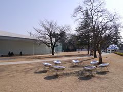 -金泽21世纪美术馆