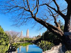 -崇圣寺三塔文化旅游区