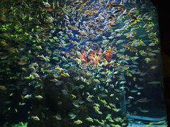 -成都浩海立方海洋公园