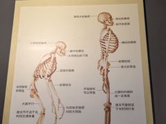 -辽宁古生物博物馆