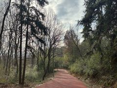 -敬亭山风景名胜区