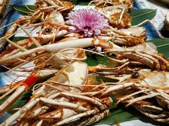 -古田居·特色寿司料理(骏欣中心店)