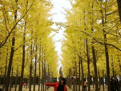 -汉景帝阳陵博物院