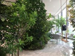 -MuseMarry婚纱(前海嘉里中心店)