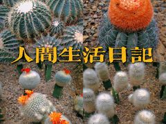 -南山植物园