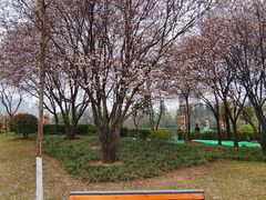 -城市运动公园(未央区)