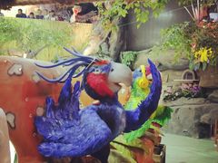 -萌宠奇缘