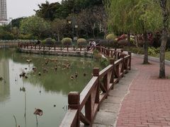 -东湖公园
