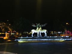 -鹭江潮餐厅•福建菜(鹭江佲家酒店)