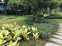 -晓港公园