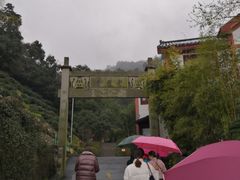 -十八棵（老龙井）御茶园(老龙井店)