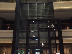 不错-舟山希尔顿酒店