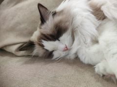 -iF摄影•全家福•证件照•形象照(南山店)