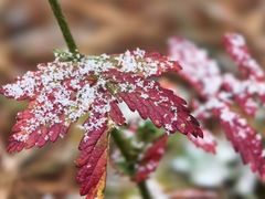 -帽儿山国家森林公园