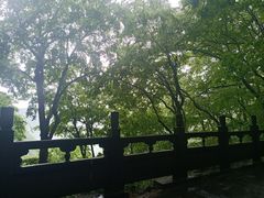 -洛阳白云山景区