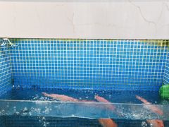 -益利大酒楼(井岸店)