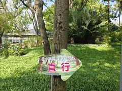 -云溪植物园