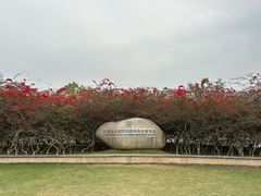 -中国科学院西双版纳热带植物园