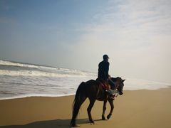 -东海岛旅游度假区