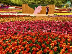 -沈阳植物园
