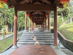-广州神农草堂中医药博物馆