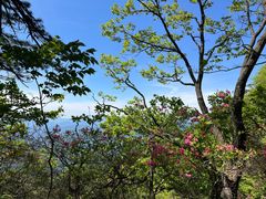 -罗田薄刀峰风景区