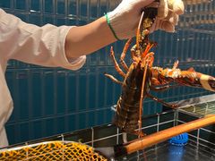 -雍容荟帝王蟹活龙虾展台自助(IFS黑金店)