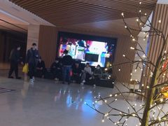 -博纳国际影城(温州5050IMAX店)