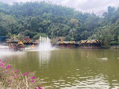 -西双版纳原始森林公园