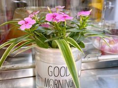 -忆夏爽黑仔漳州四果汤(顶澳仔猫街店)