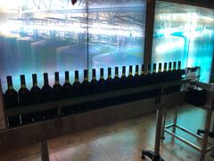 -青岛葡萄酒博物馆