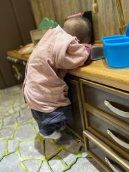 -卡通尼·Safari非洲探索乐园·生日会(金桥国际商业广场店)