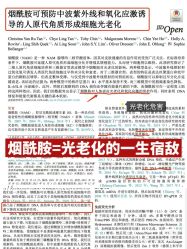 点击看大图 -玛莲朵·海菲秀冰珀科