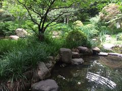 -新湖明珠城