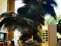 -五洲咖啡厅(五洲大酒店)