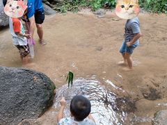 -火炉山森林公园