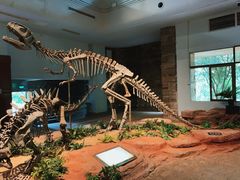 -自贡恐龙博物馆