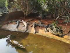 -海南热带野生动植物园