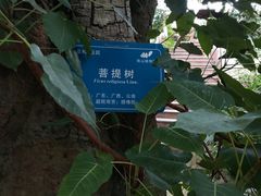 -南山植物园