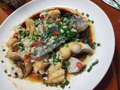 -全乐鱼馆·淳牌有机鱼直营店