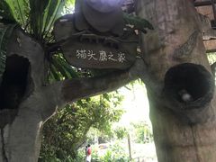 -青青世界