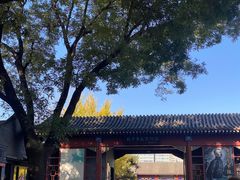 -北京鲁迅博物馆(北京新文化运动纪念馆鲁博馆区)