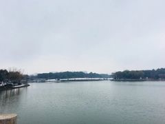 -昆山城市生态森林公园