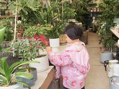 -三圣花乡旅游区