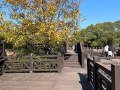 -白马涧龙池景区